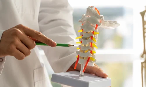 Joint-Replacement-Spine-Surgery