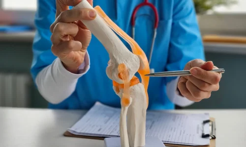 southshoreorthopedicscom_172277448